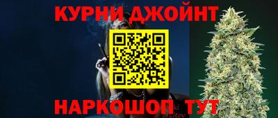 индика Лесосибирск