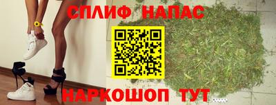 индика Лесосибирск