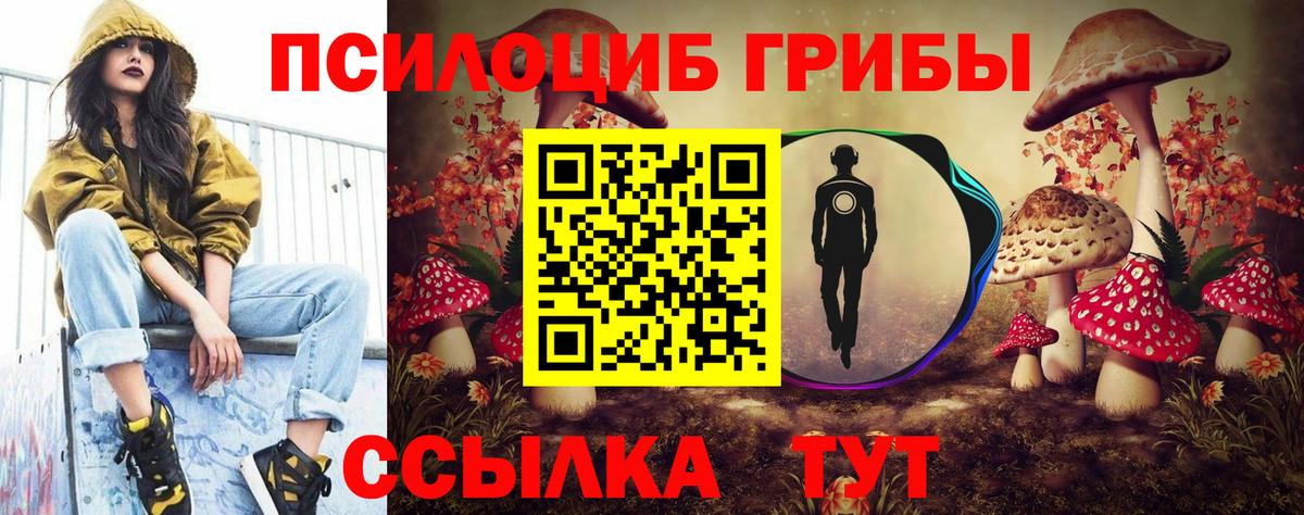 Гуково  Галлюциногенные грибы мухоморы  Псилоцибиновые грибы Psilocybe  Вход с VPN 