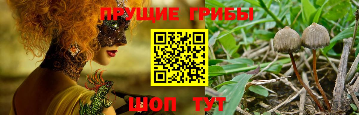 Галлюциногенные грибы мицелий Гуково